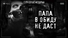 В обиду не даст Роман Башаев слушать аудиокнигу онлайн бесплатно