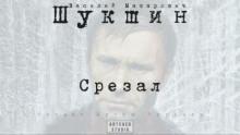 Срезал Василий Шукшин слушать аудиокнигу онлайн бесплатно