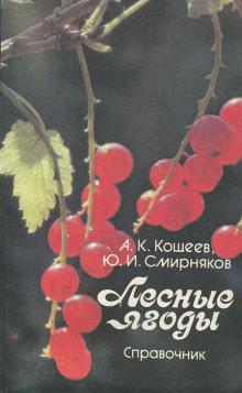 Лесные ягоды Аркадий Кощеев,                                                                                  Юрий Смирняков слушать аудиокнигу онлайн бесплатно