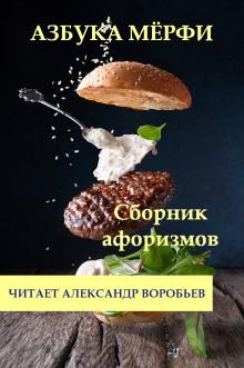 Азбука Мерфи Мерфи слушать аудиокнигу онлайн бесплатно