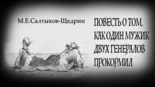 Повесть о том, как один мужик двух генералов прокормил Михаил Салтыков-Щедрин слушать аудиокнигу онлайн бесплатно