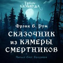 Сказочник из камеры смертников Фрэнк Б. Рум слушать аудиокнигу онлайн бесплатно