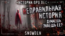 Неправильная история Snow Den слушать аудиокнигу онлайн бесплатно