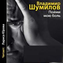Пойми мою боль Владимир Шумилов слушать аудиокнигу онлайн бесплатно