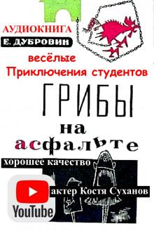 Грибы на асфальте Евгений Дубровин слушать аудиокнигу онлайн бесплатно
