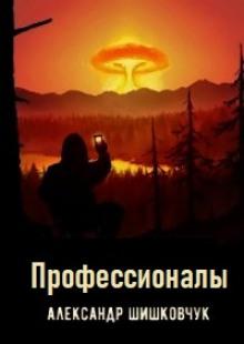 Профессионалы Александр Шишковчук слушать аудиокнигу онлайн бесплатно