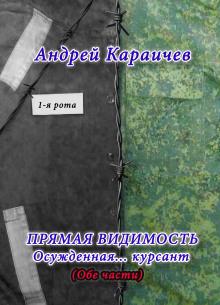 Прямая видимость Андрей Караичев слушать аудиокнигу онлайн бесплатно