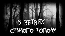 В ветвях старого тополя Владимир Леонтьев слушать аудиокнигу онлайн бесплатно