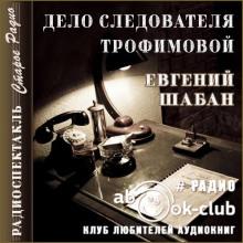 Дело следователя Трофимовой Евгений Шабан слушать аудиокнигу онлайн бесплатно