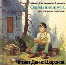 Ожидание друга, или Признания подростка Леонид Нечаев слушать аудиокнигу онлайн бесплатно