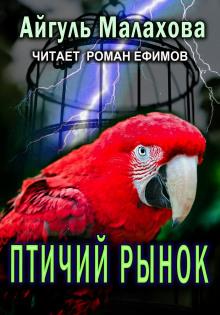 Птичий рынок Айгуль Малахова слушать аудиокнигу онлайн бесплатно