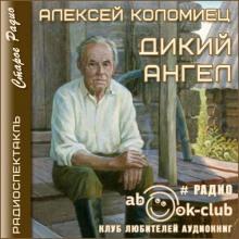 Дикий Ангел Алексей Коломиец слушать аудиокнигу онлайн бесплатно