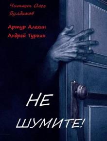 Не шумите! Артур Алехин,                                                                                  Андрей Туркин слушать аудиокнигу онлайн бесплатно