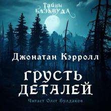 Грусть деталей Джонатан Кэрролл слушать аудиокнигу онлайн бесплатно