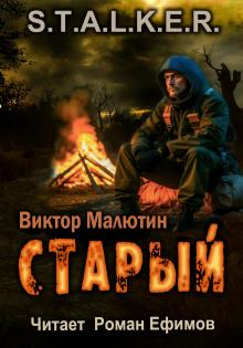 S.T.A.L.K.E.R. Старый Виктор Малютин слушать аудиокнигу онлайн бесплатно