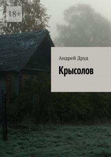 Крысолов Андрей Друд слушать аудиокнигу онлайн бесплатно