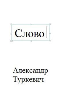 Слово Александр Туркевич слушать аудиокнигу онлайн бесплатно