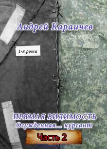 Прямая видимость. Часть 2 Андрей Караичев слушать аудиокнигу онлайн бесплатно