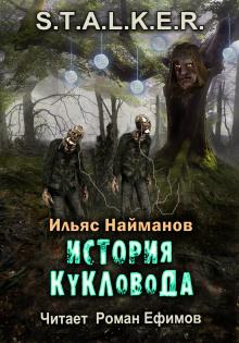 S.T.A.L.K.E.R. История Кукловода Ильяс Найманов слушать аудиокнигу онлайн бесплатно