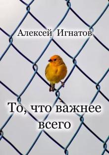 То, что важнее всего Алексей Игнатов слушать аудиокнигу онлайн бесплатно