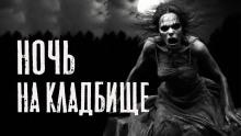 Ночь на кладбище Юлия Скоркина слушать аудиокнигу онлайн бесплатно