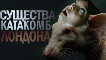 Крысиный король Максим Кабир слушать аудиокнигу онлайн бесплатно